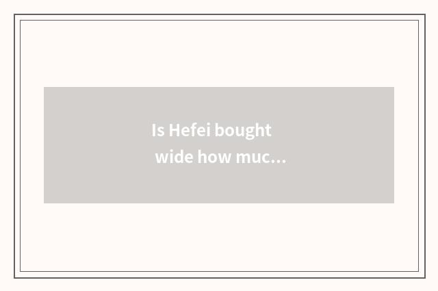 Is Hefei bought wide how much is this car loan interest rate?