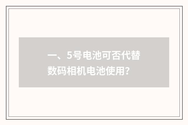 一、5号电池可否代替数码相机电池使用？