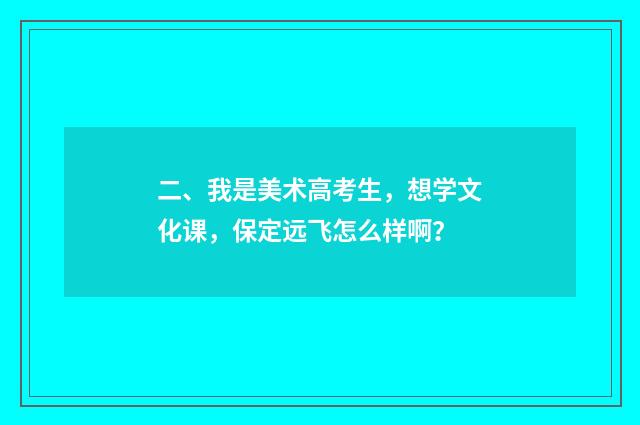 二、我是美术高考生，想学文化课，保定远飞怎么样啊？