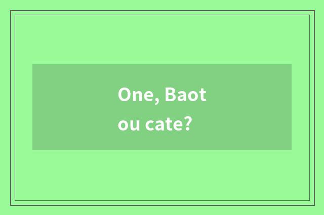 One, Baotou cate?