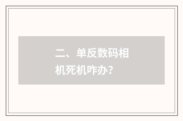 二、单反数码相机死机咋办？