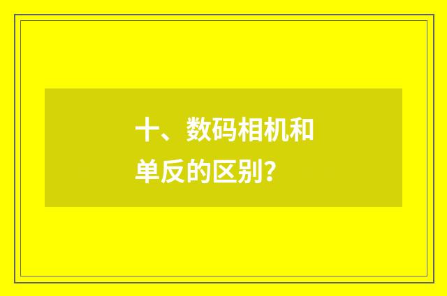 十、数码相机和单反的区别?