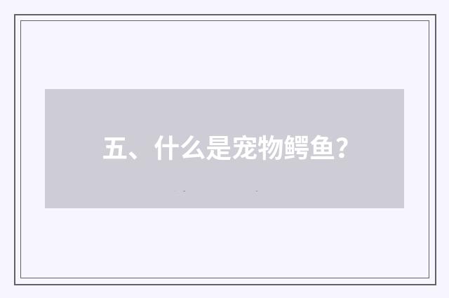 五、什么是宠物鳄鱼？