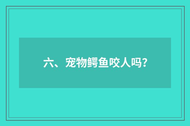 六、宠物鳄鱼咬人吗？