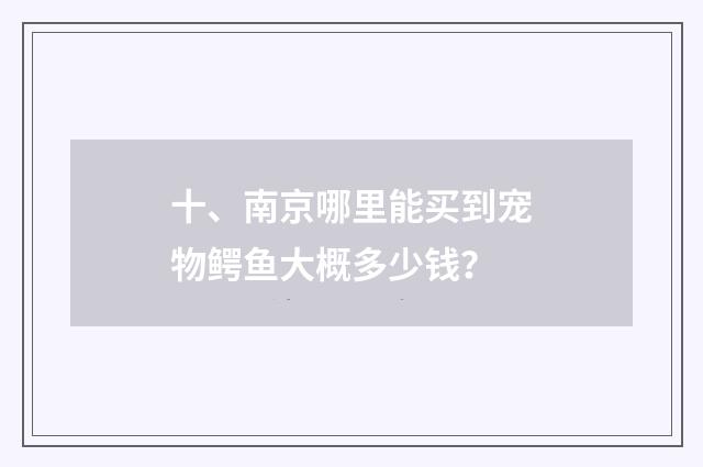 十、南京哪里能买到宠物鳄鱼大概多少钱？