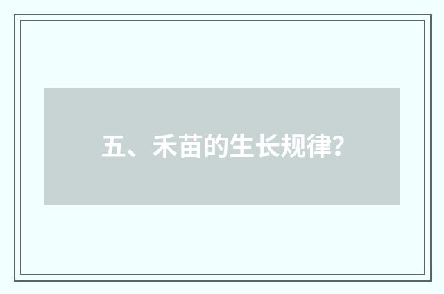 五、禾苗的生长规律？