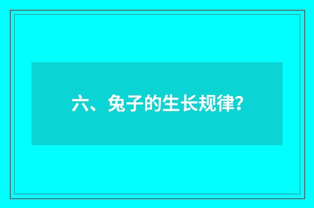 六、兔子的生长规律？