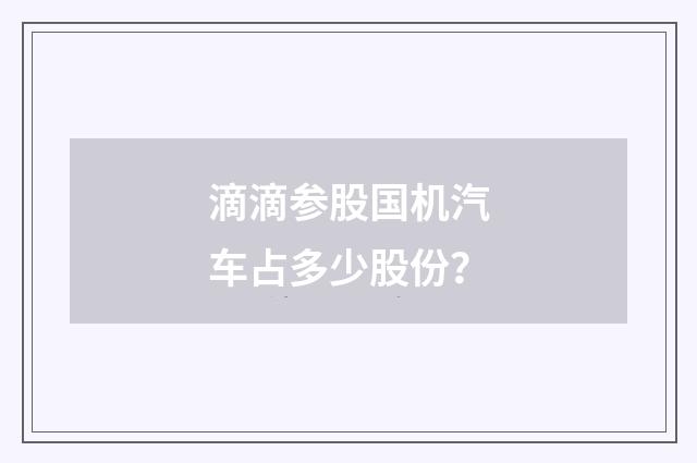 滴滴参股国机汽车占多少股份？