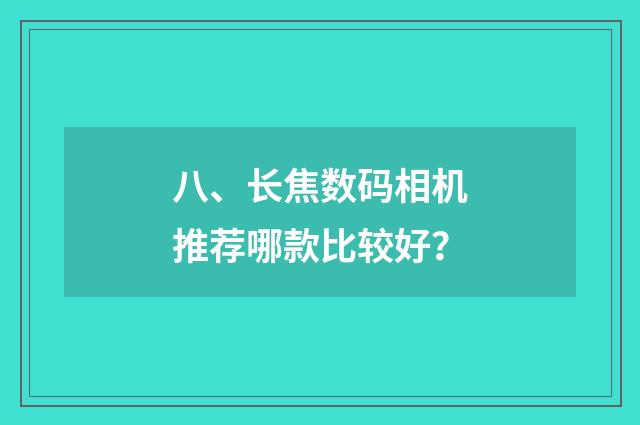 八、长焦数码相机推荐哪款比较好？