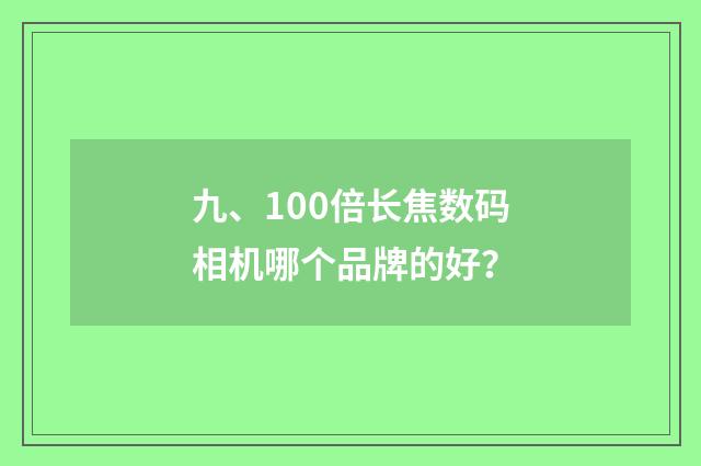 九、100倍长焦数码相机哪个品牌的好？