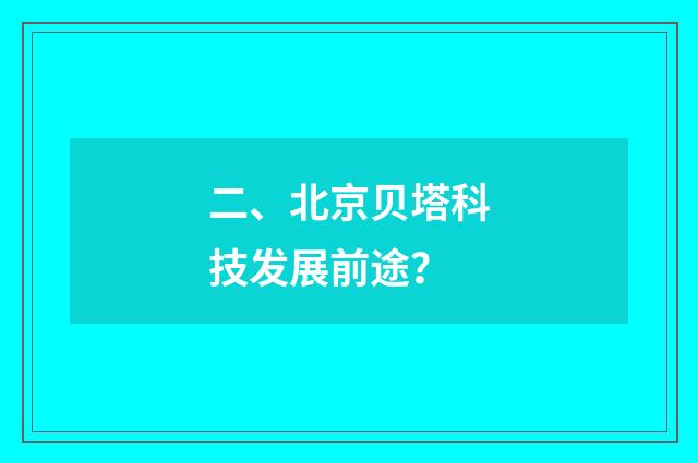 二、北京贝塔科技发展前途？