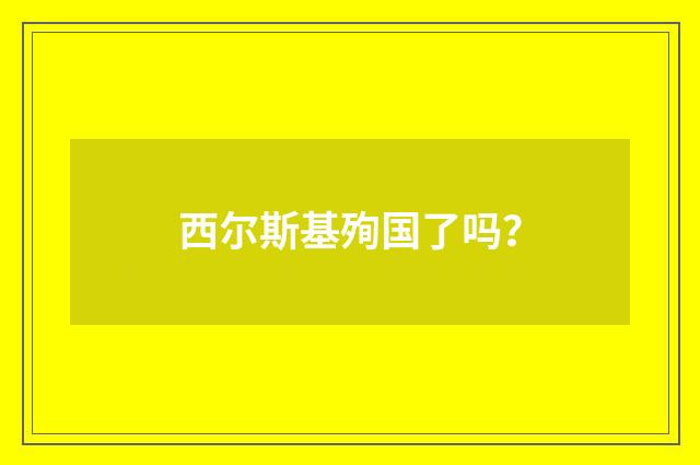 西尔斯基殉国了吗？