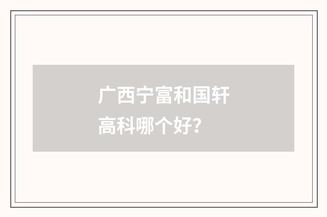 广西宁富和国轩高科哪个好？