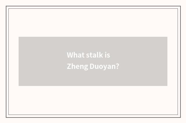 What stalk is Zheng Duoyan?