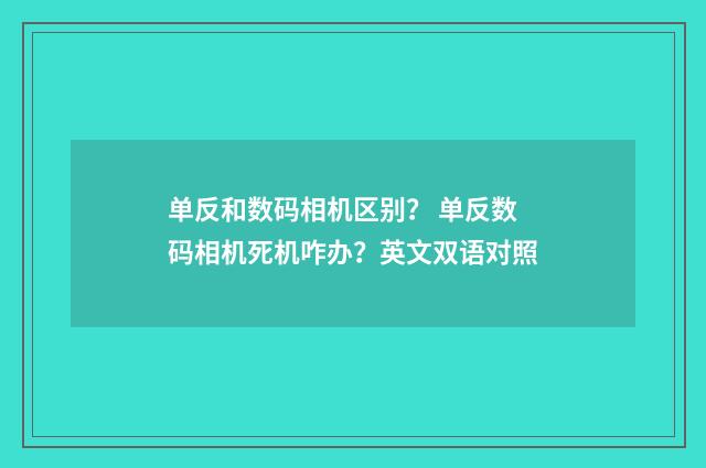 单反和数码相机区别？ 单反数码相机死机咋办？英文双语对照