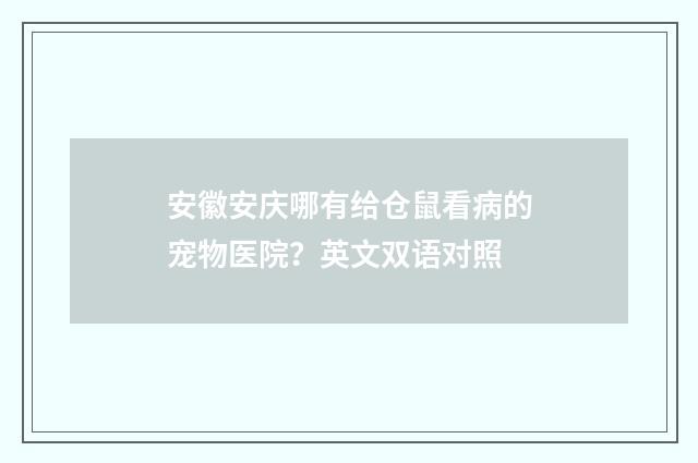 安徽安庆哪有给仓鼠看病的宠物医院？英文双语对照