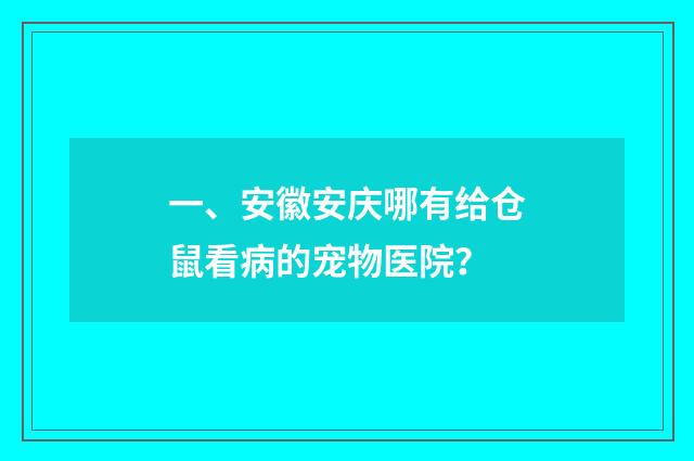 一、安徽安庆哪有给仓鼠看病的宠物医院？