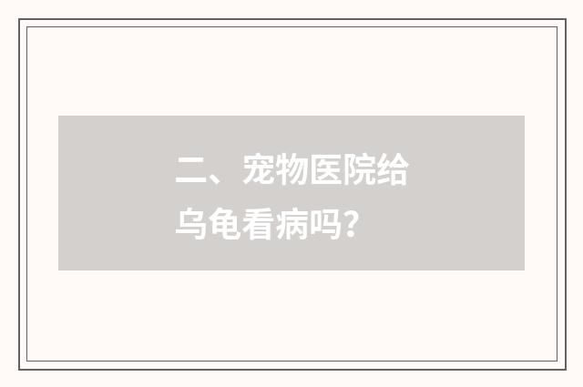 二、宠物医院给乌龟看病吗?