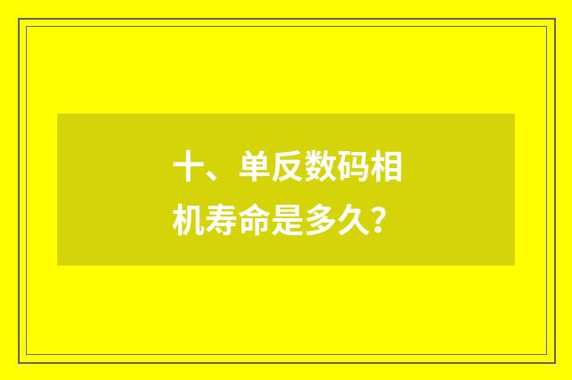 十、单反数码相机寿命是多久？