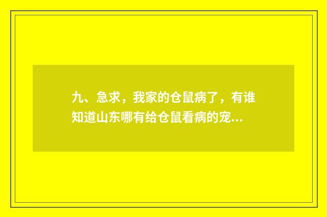 九、急求，我家的仓鼠病了，有谁知道山东哪有给仓鼠看病的宠物医院？