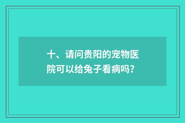 十、请问贵阳的宠物医院可以给兔子看病吗？
