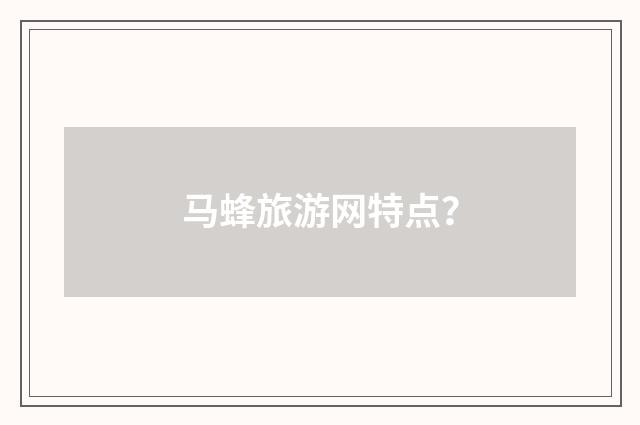 马蜂旅游网特点？