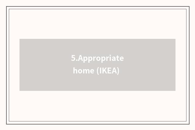 5.Appropriate home (IKEA)
