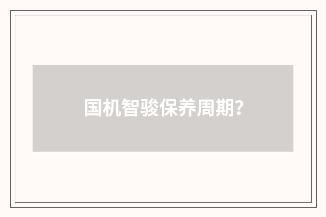 国机智骏保养周期？