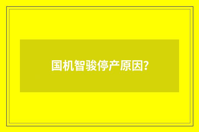 国机智骏停产原因？