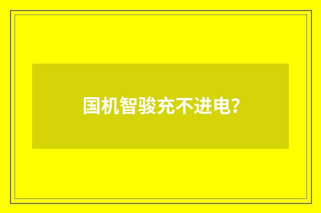国机智骏充不进电？