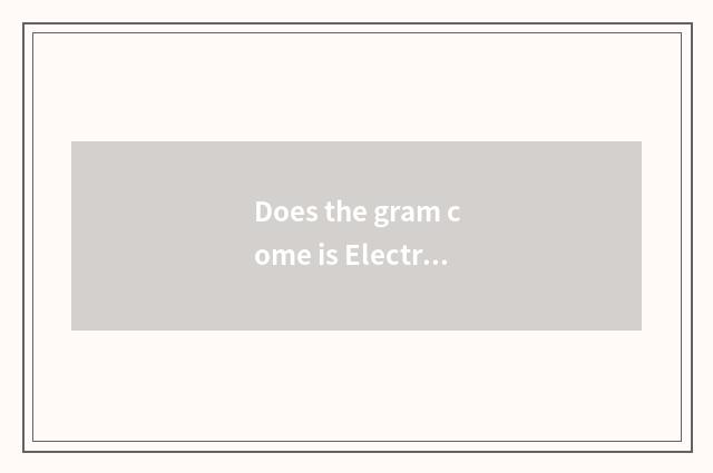 Does the gram come is Electromechanical a state-owend enterprise?