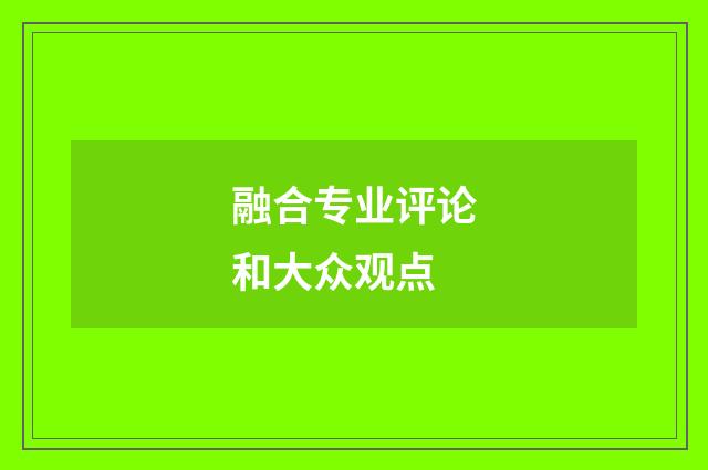 融合专业评论和大众观点