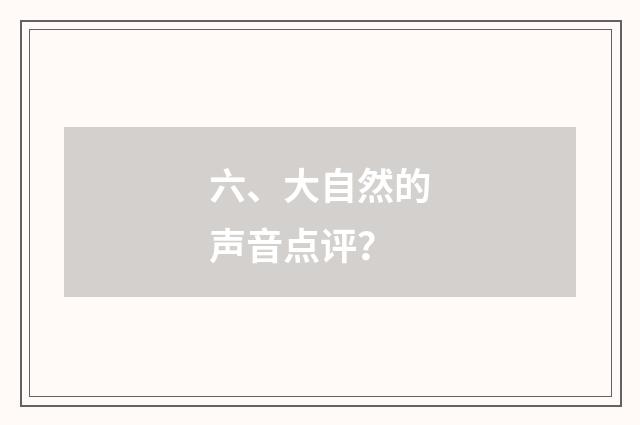 六、大自然的声音点评？