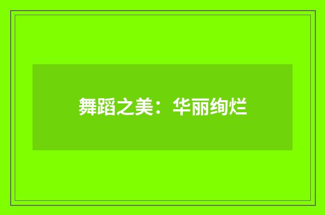 舞蹈之美：华丽绚烂
