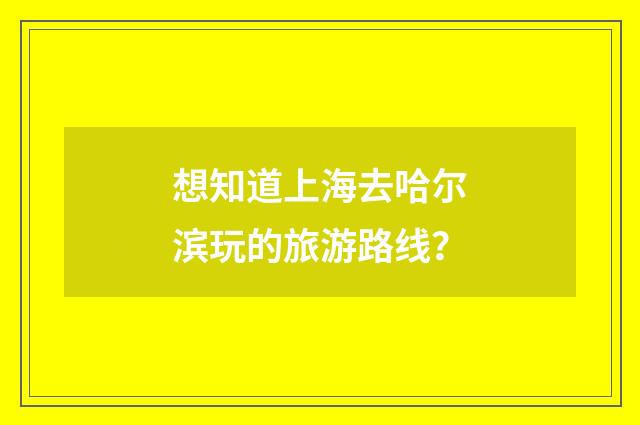 想知道上海去哈尔滨玩的旅游路线？