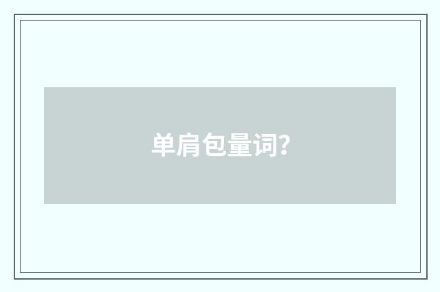 单肩包量词?