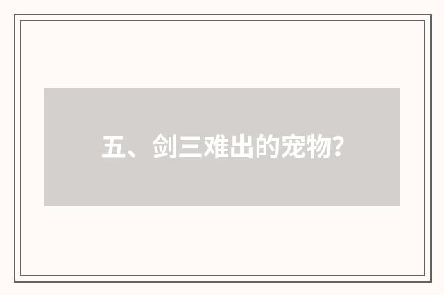 五、剑三难出的宠物？