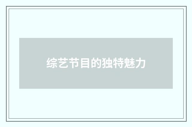 综艺节目的独特魅力