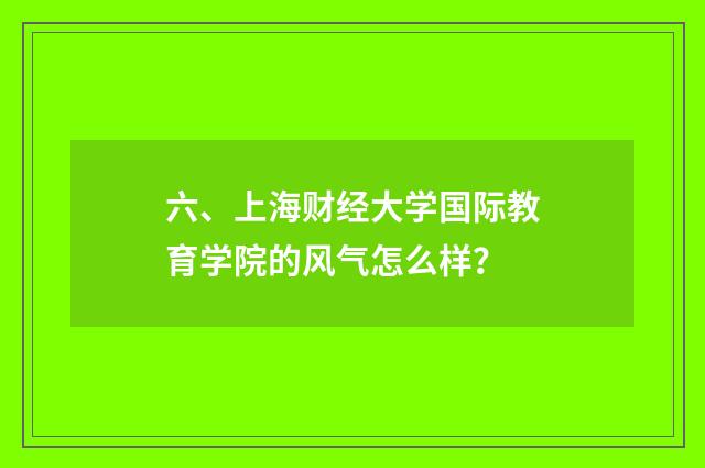 六、上海财经大学国际教育学院的风气怎么样？
