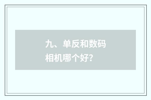九、单反和数码相机哪个好?