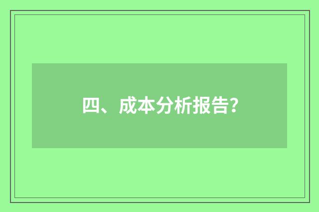 四、成本分析报告？