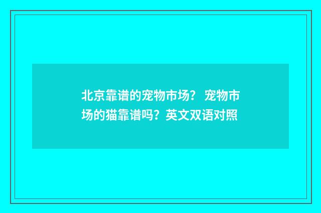 北京靠谱的宠物市场？ 宠物市场的猫靠谱吗？英文双语对照