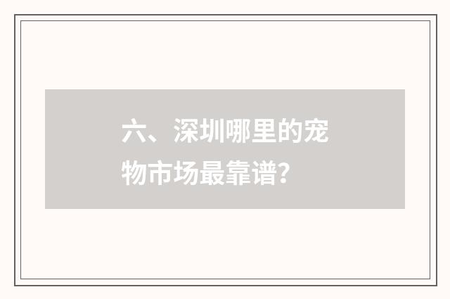 六、深圳哪里的宠物市场最靠谱？