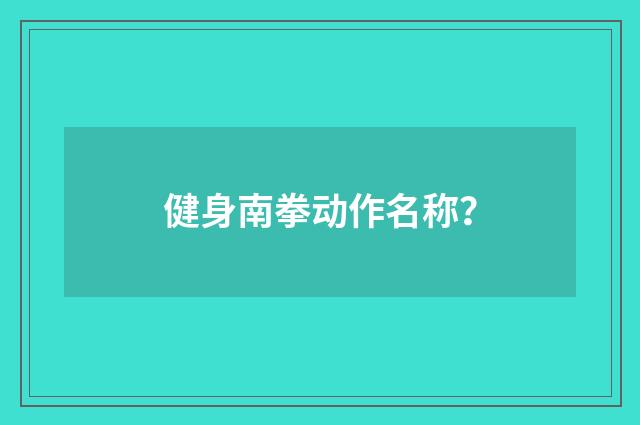 健身南拳动作名称？