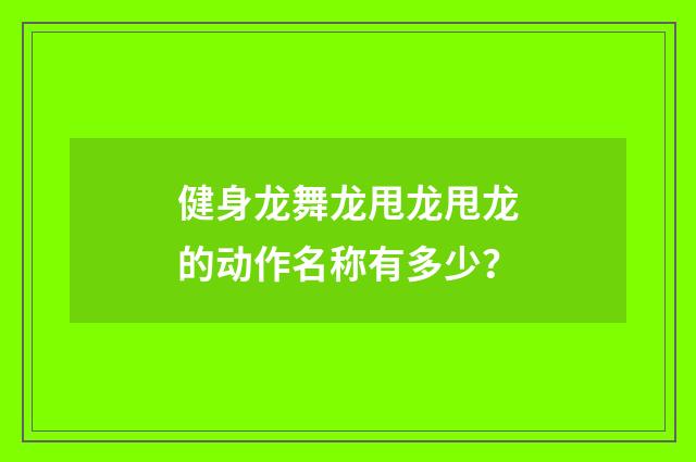 健身龙舞龙甩龙甩龙的动作名称有多少？