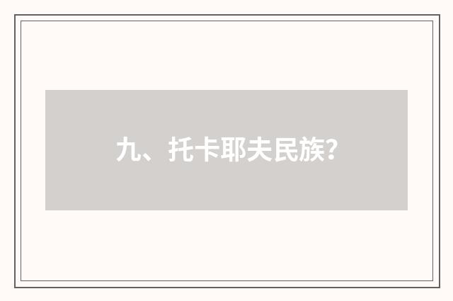 九、托卡耶夫民族？