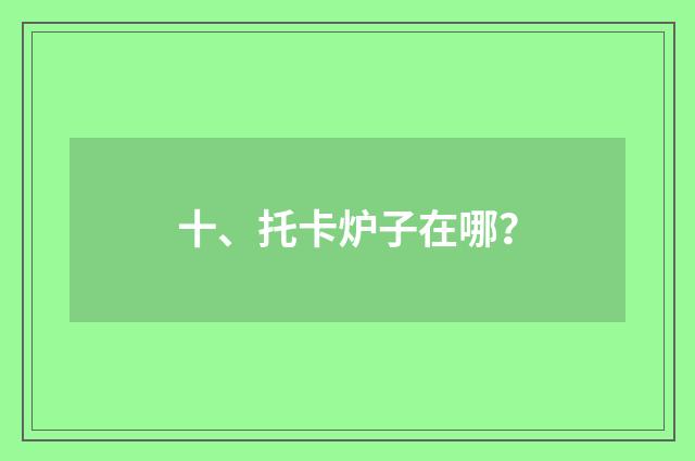 十、托卡炉子在哪？
