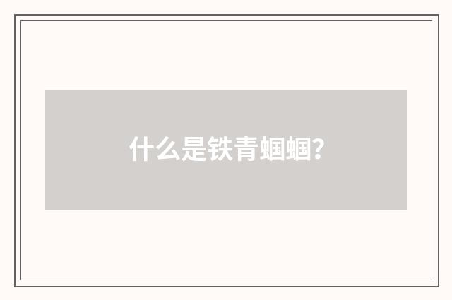 什么是铁青蝈蝈？
