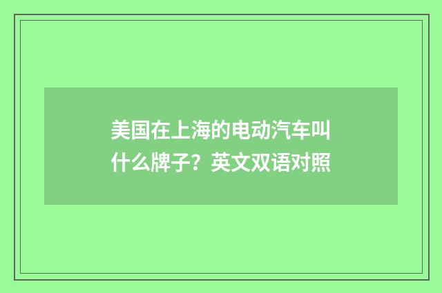 美国在上海的电动汽车叫什么牌子？英文双语对照