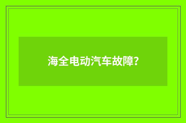海全电动汽车故障？
